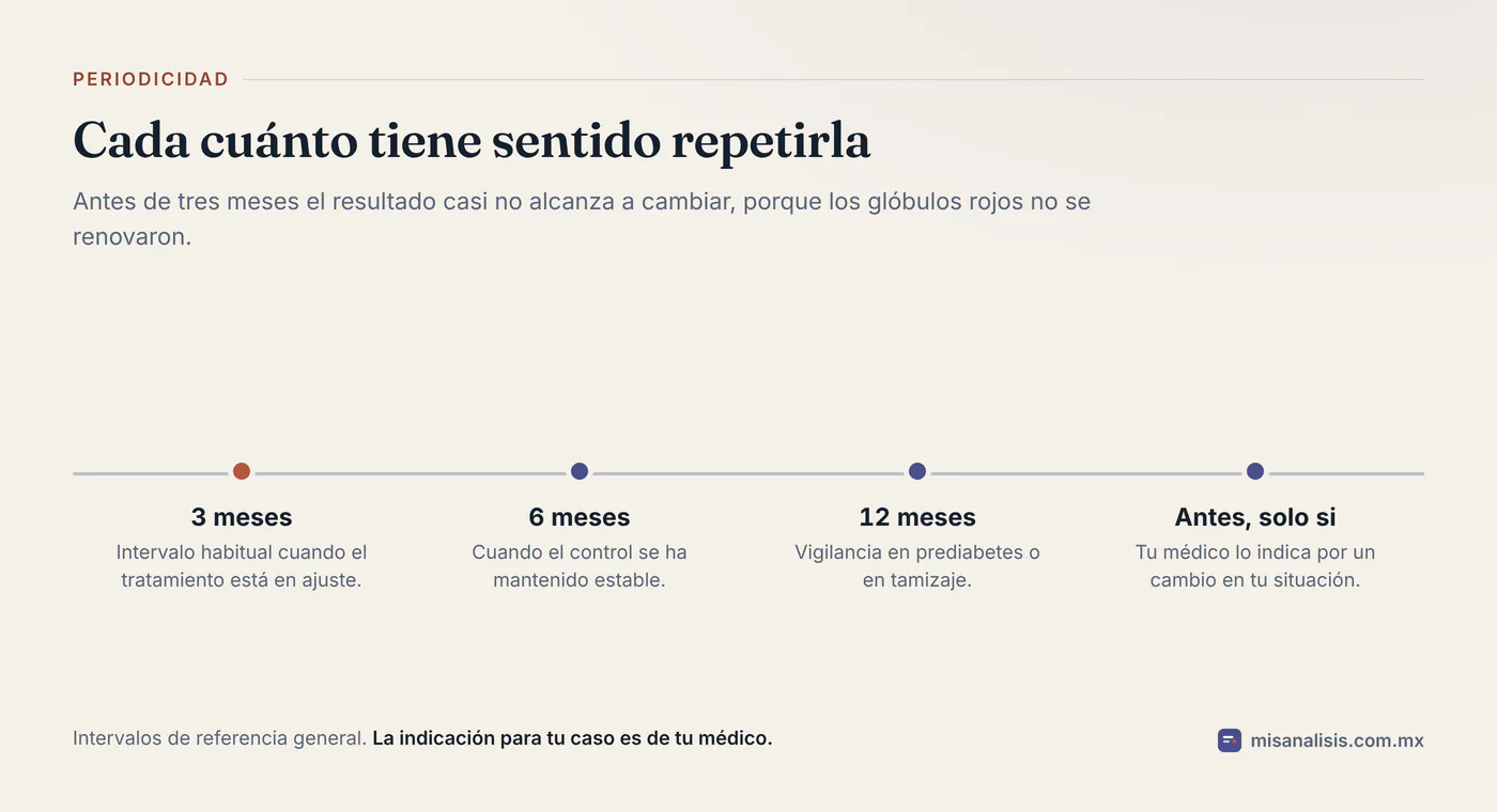 Línea de tiempo con la periodicidad habitual de la hemoglobina glucosilada: cada tres meses cuando hay ajustes, cada seis cuando el control es estable y una vez al año en vigilancia.