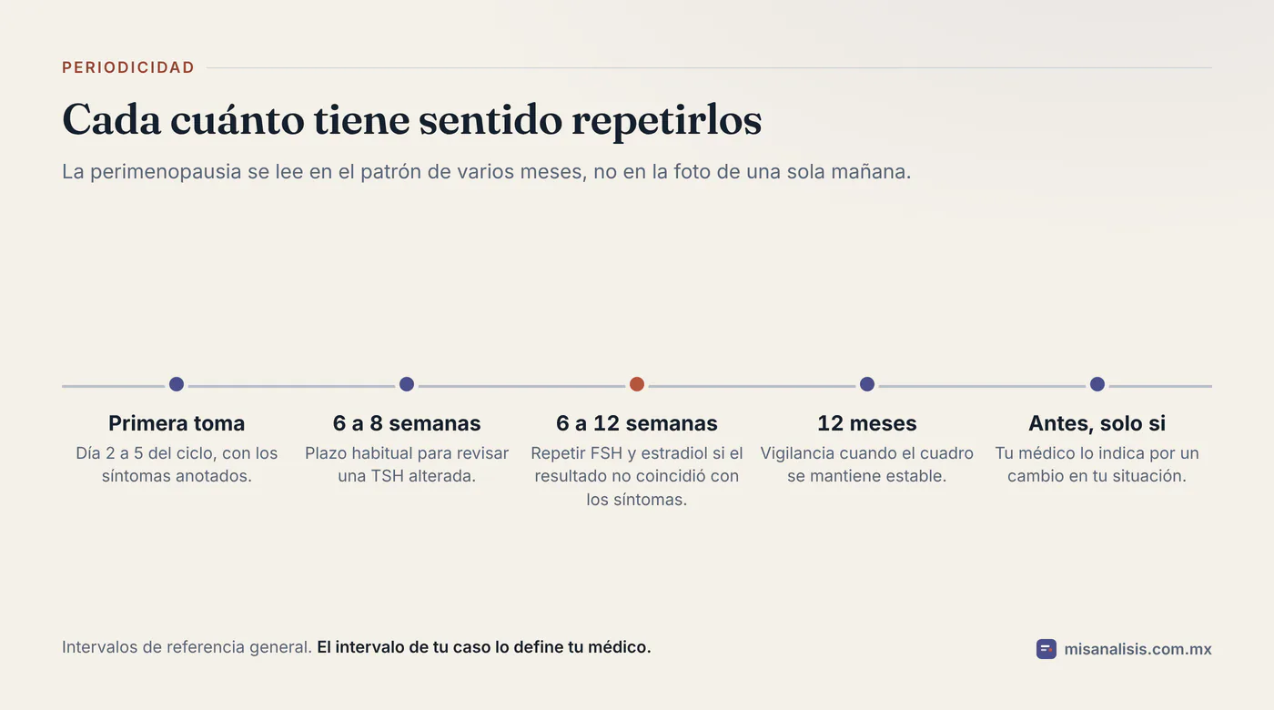Línea de tiempo de cinco momentos: primera toma en el día 2 a 5 del ciclo, TSH alterada a las 6 a 8 semanas, FSH y estradiol a las 6 a 12 semanas, y vigilancia a los 12 meses.