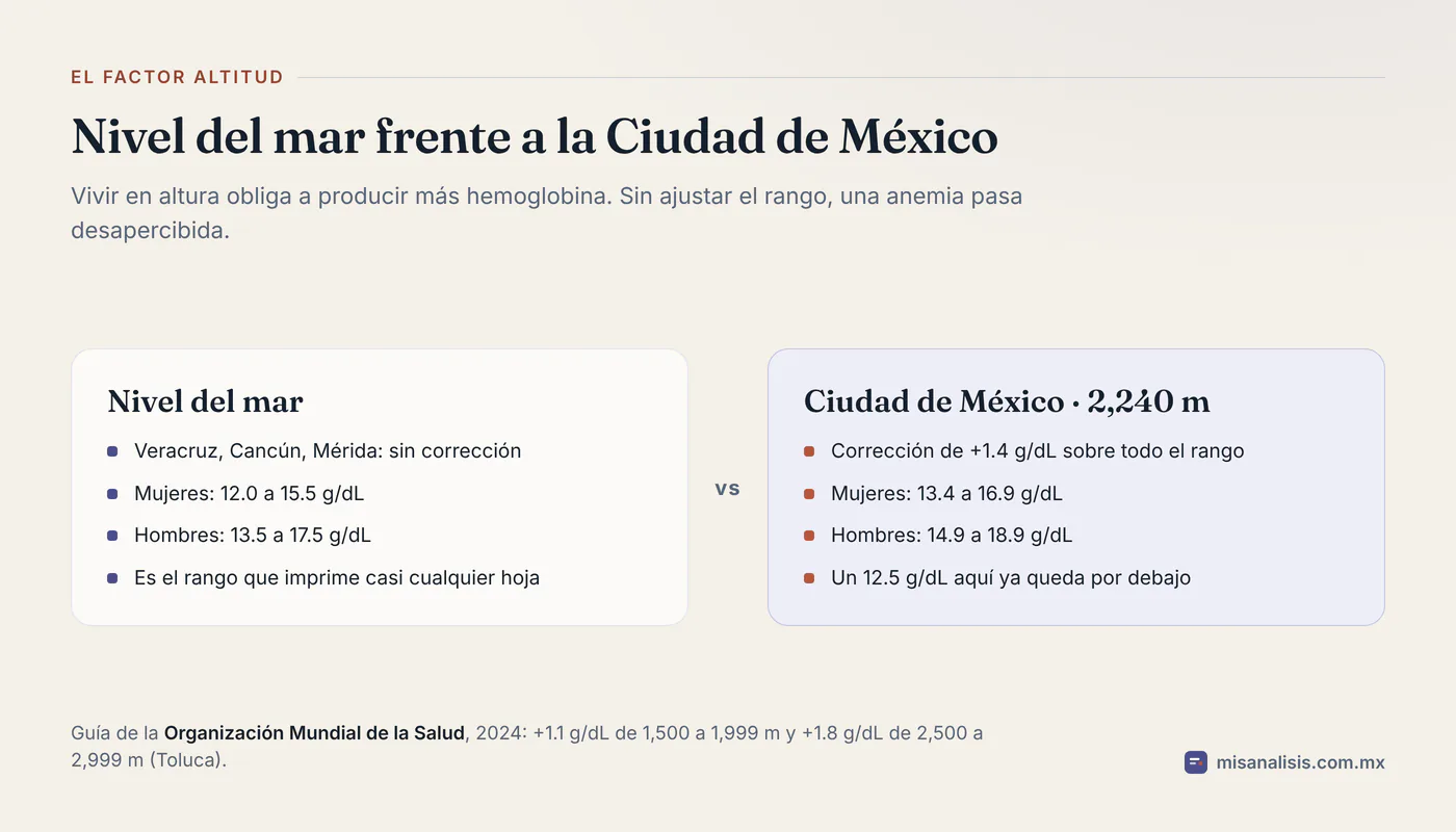 Comparación del rango de hemoglobina a nivel del mar, de 12.0 a 15.5 g/dL en mujeres y de 13.5 a 17.5 en hombres, frente a la Ciudad de México, donde sube a 13.4 a 16.9 y a 14.9 a 18.9 g/dL.