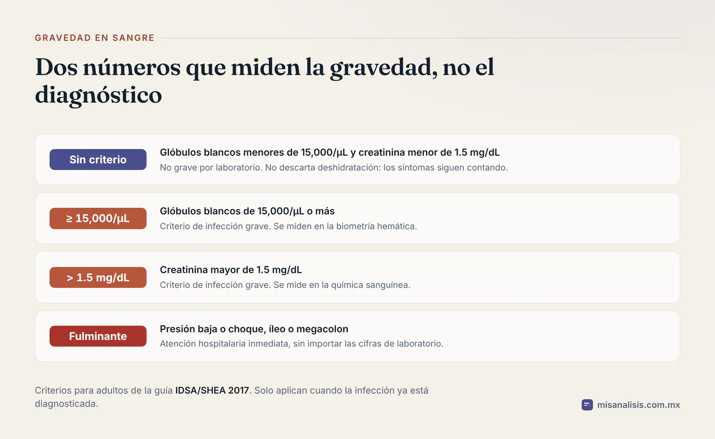 Criterios de gravedad de la infección por C. difficile en adultos: glóbulos blancos de 15,000/µL o más, creatinina mayor de 1.5 mg/dL y, como forma fulminante, presión baja, íleo o megacolon.