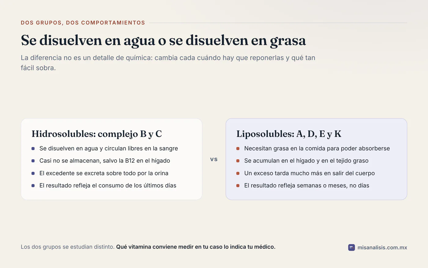 Comparación en dos columnas: las hidrosolubles del complejo B y la vitamina C casi no se almacenan, mientras las liposolubles A, D, E y K se acumulan en el hígado y en la grasa.