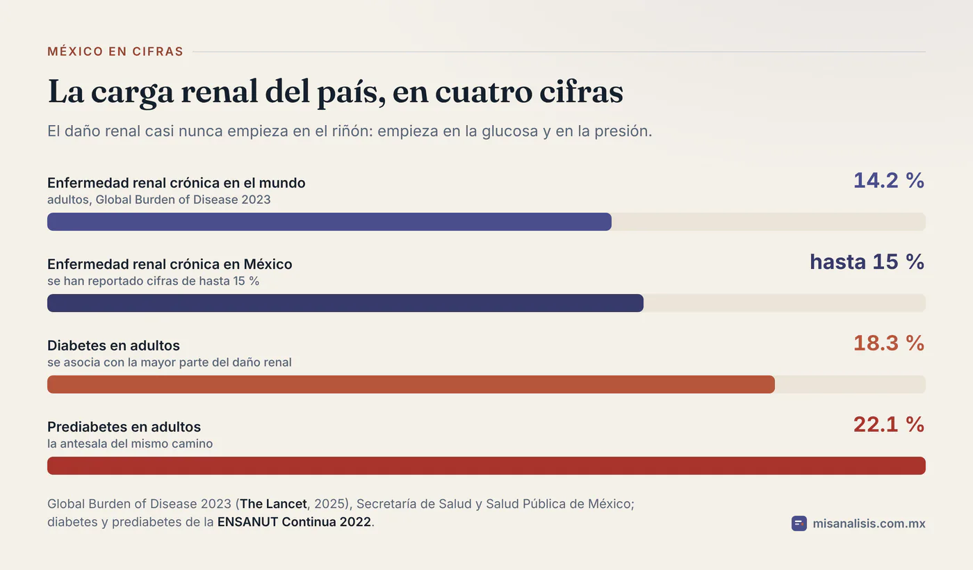 Gráfica de cuatro barras: enfermedad renal crónica en alrededor de 14 por ciento de los adultos del mundo y hasta 15 por ciento en México, diabetes en 18.3 por ciento y prediabetes en 22.1 por ciento de los adultos.
