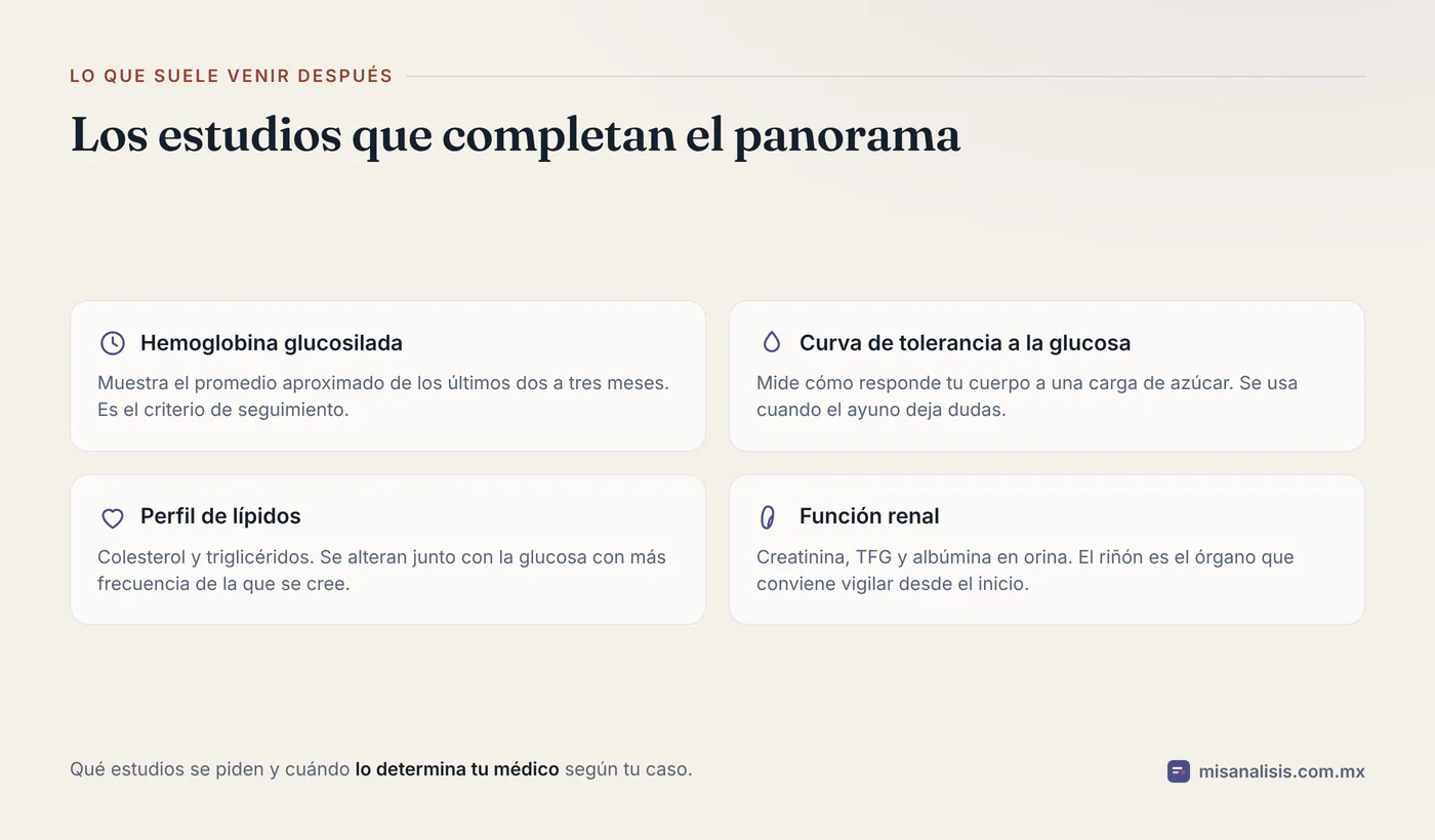 Cuatro estudios que suelen acompañar a una glucosa alta: hemoglobina glucosilada, curva de tolerancia a la glucosa, perfil de lípidos y función renal.
