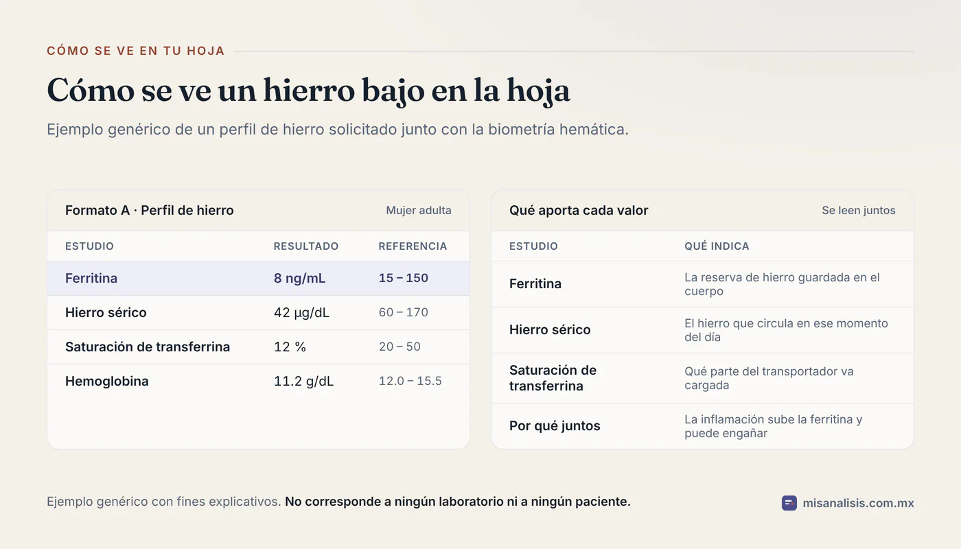 Hoja de resultados de ejemplo con ferritina de 8 ng/mL, hierro sérico de 42 µg/dL y saturación de transferrina de 12 %, los tres debajo del rango, junto con hemoglobina de 11.2 g/dL.