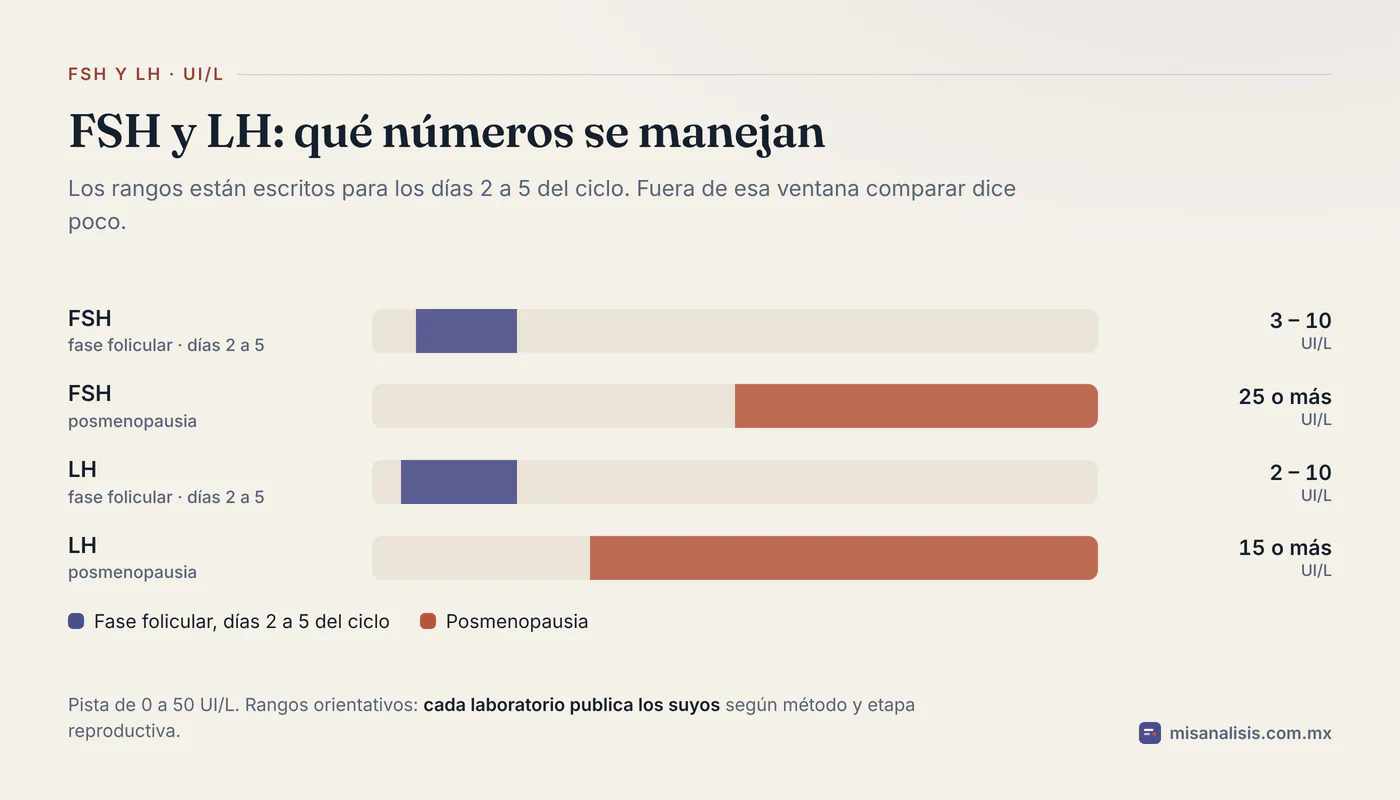 Cuatro rangos de referencia sobre una pista de 0 a 50 UI/L: FSH de 3 a 10 en fase folicular y 25 o más en posmenopausia; LH de 2 a 10 en fase folicular y 15 o más en posmenopausia.