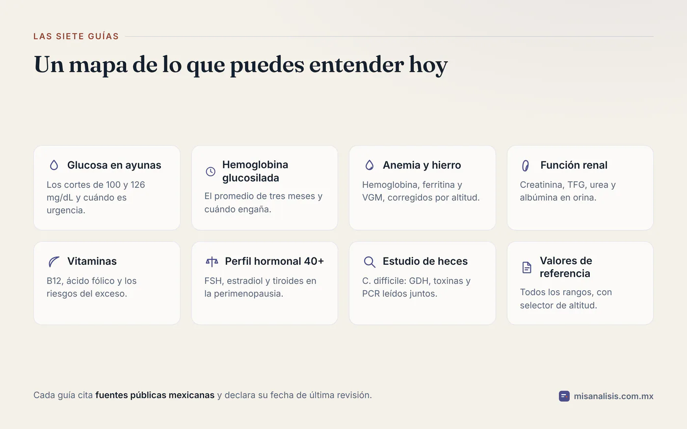 Rejilla con las siete guías del sitio y la tabla de valores de referencia: glucosa, hemoglobina glucosilada, anemia, riñón, vitaminas, perfil hormonal y estudio de heces.
