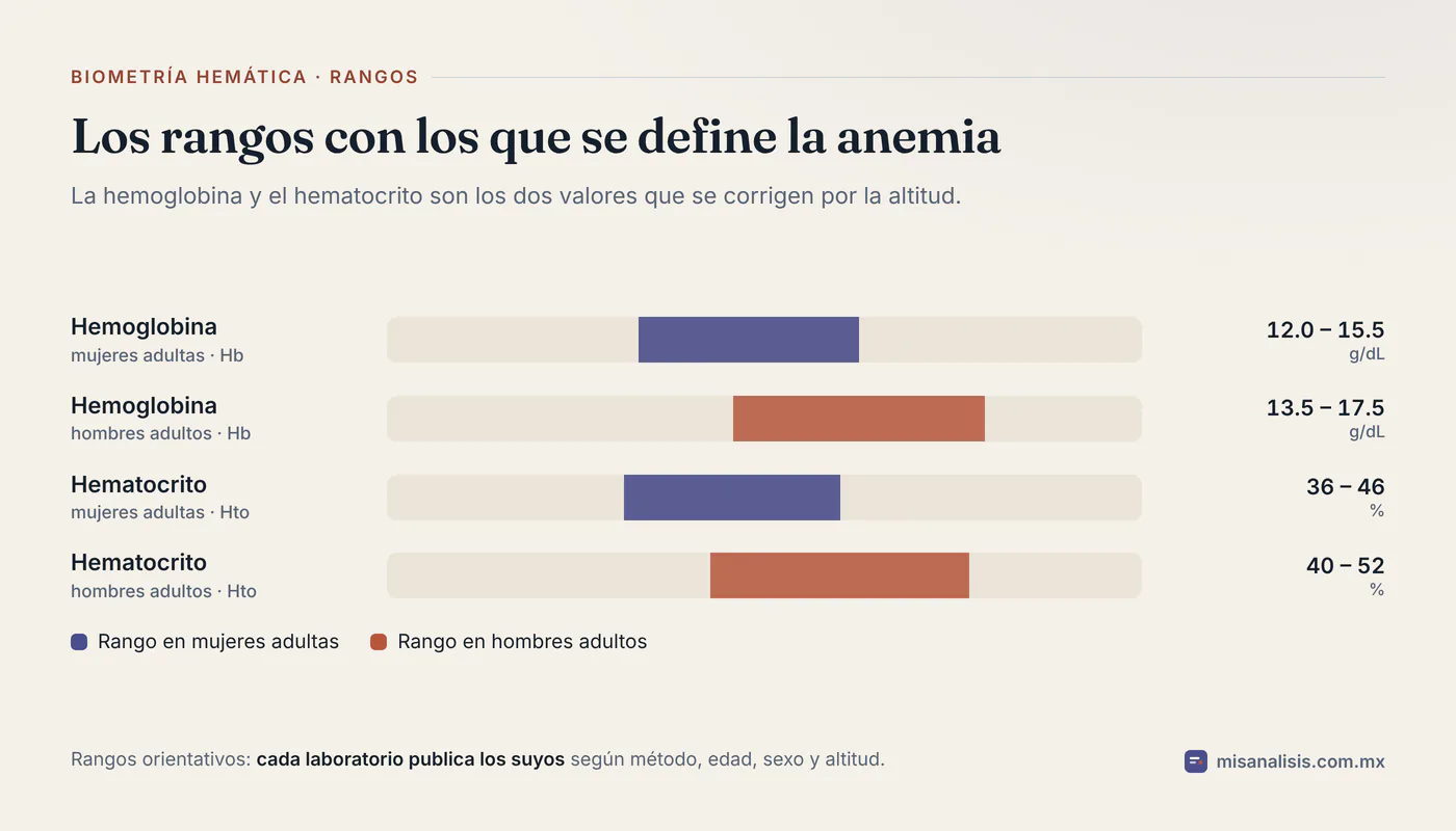 Cuatro rangos de referencia, cada uno en su pista: hemoglobina de 12.0 a 15.5 g/dL en mujeres y de 13.5 a 17.5 g/dL en hombres, hematocrito de 36 a 46 % en mujeres y de 40 a 52 % en hombres.