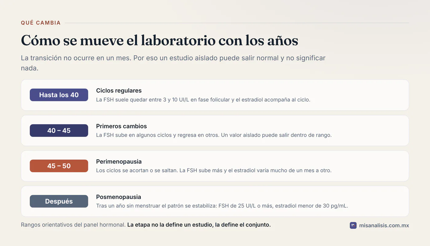 Cuatro etapas de la transición hormonal, de los ciclos regulares con FSH de 3 a 10 UI/L a la posmenopausia con FSH de 25 UI/L o más y estradiol por debajo de 30 pg/mL.