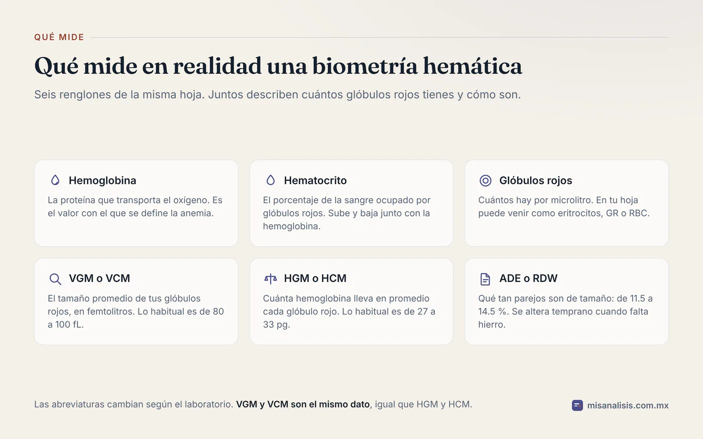 Rejilla con los seis datos de la biometría hemática que importan en una anemia: hemoglobina, hematocrito, glóbulos rojos, VGM o VCM, HGM o HCM y ADE o RDW.