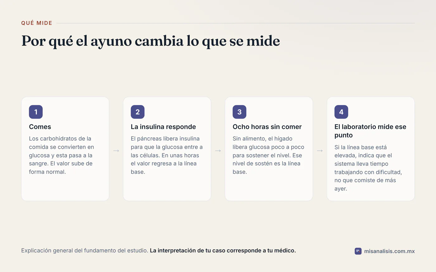 Diagrama de cuatro pasos que explica qué mide la glucosa en ayunas: la comida eleva el azúcar, la insulina lo baja, tras ocho horas queda la línea base y el laboratorio mide ese punto.