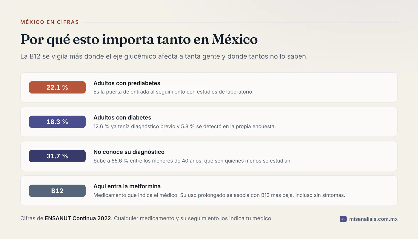 Cuatro datos apilados: 22.1 % de adultos con prediabetes, 18.3 % con diabetes, 31.7 % que no conoce su diagnóstico y la relación entre la metformina y una vitamina B12 más baja.