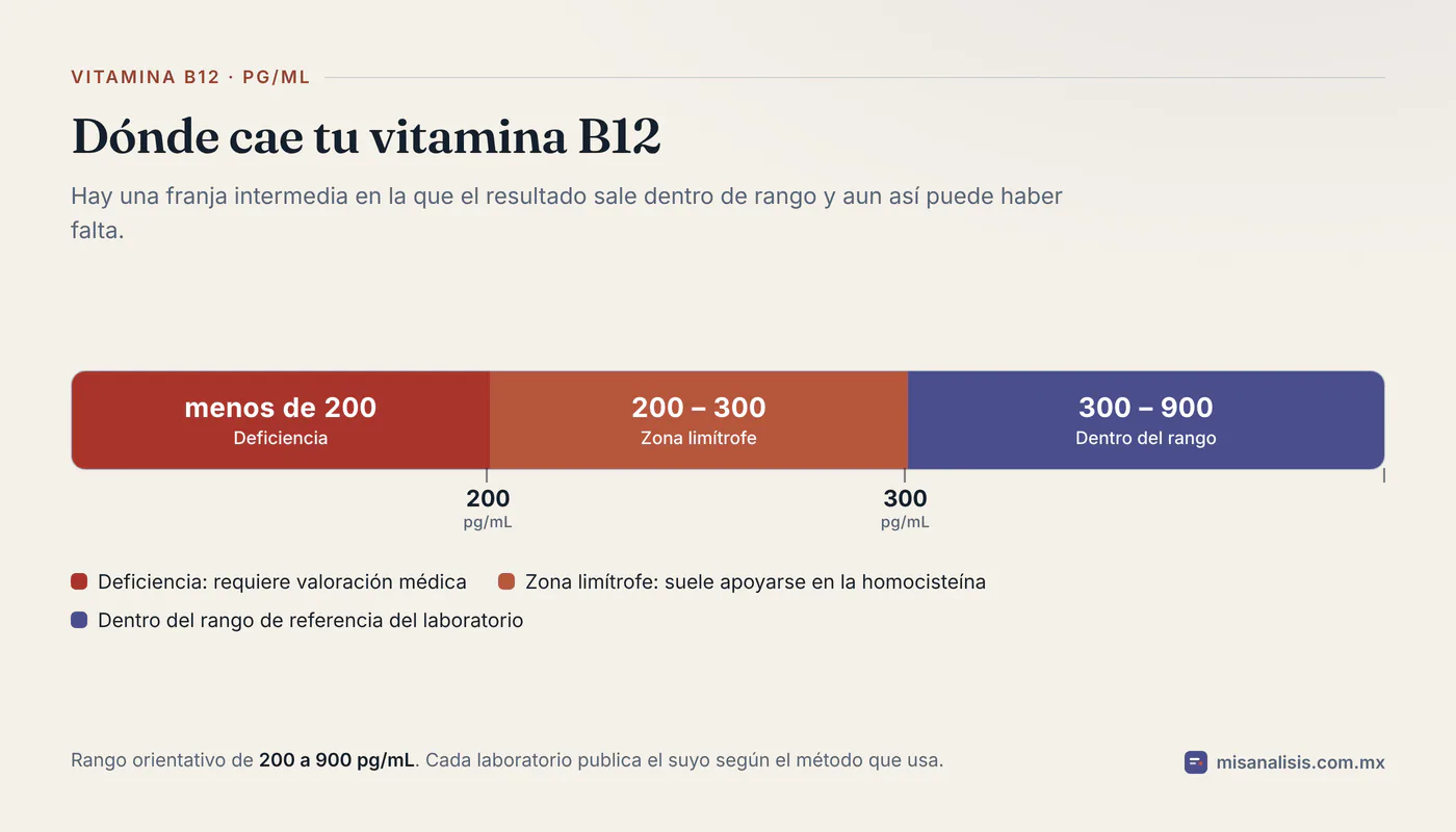 Escala de vitamina B12 en picogramos por mililitro con tres tramos: deficiencia por debajo de 200, zona limítrofe de 200 a 300 y valores dentro del rango de 300 a 900 pg/mL.
